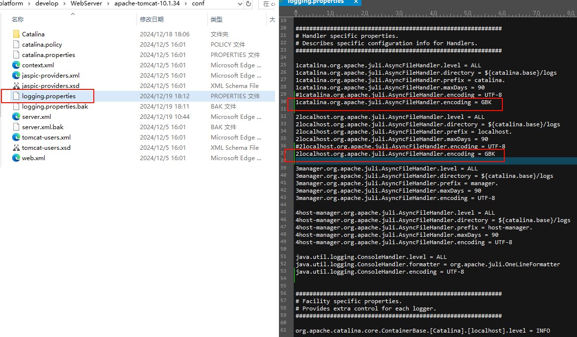 image-20241219181627838