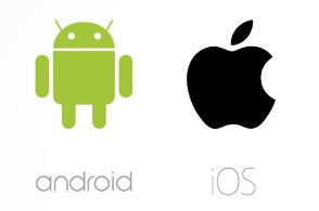 notion image