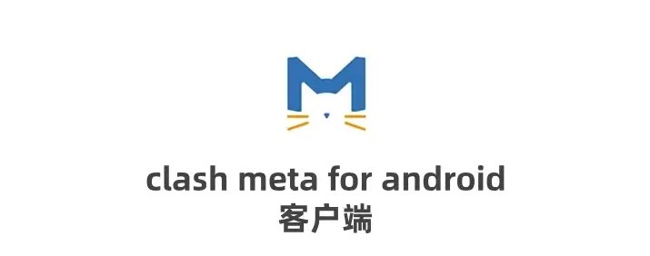 Clash Meta for Android 使用方法